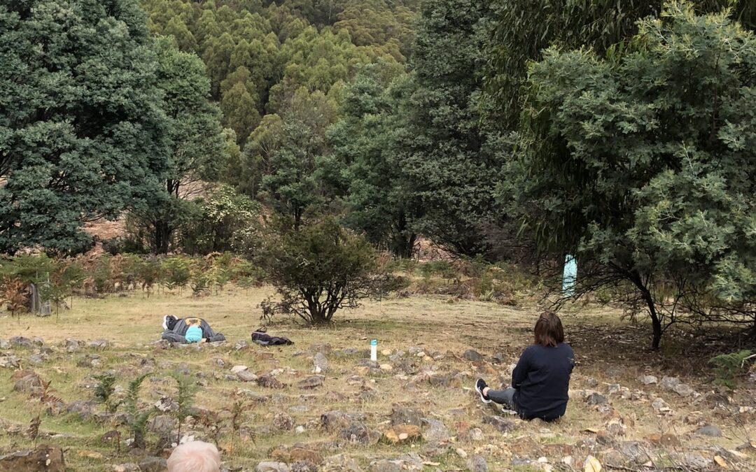 people sitting still in the bush, mindfulness in nature