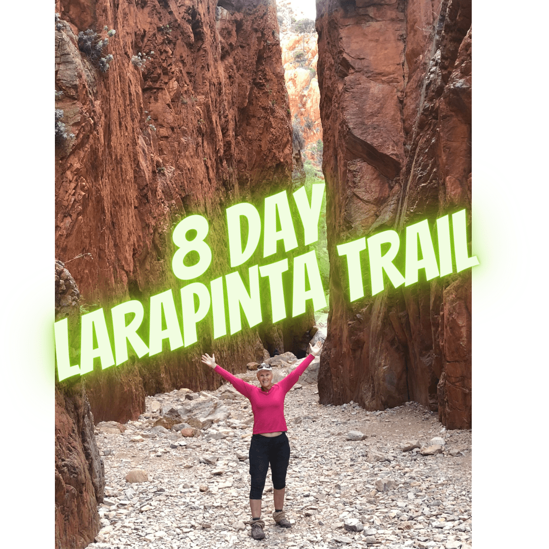 click here to view a video on my 8 day Best of Larapinta Tour